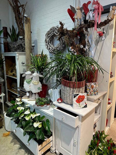 allgemeine-floristik