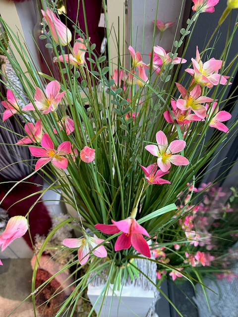 allgemeine-floristik