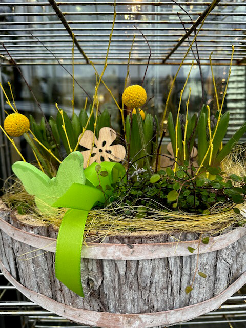 allgemeine-floristik